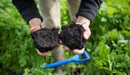 Agronomy: North East Conference